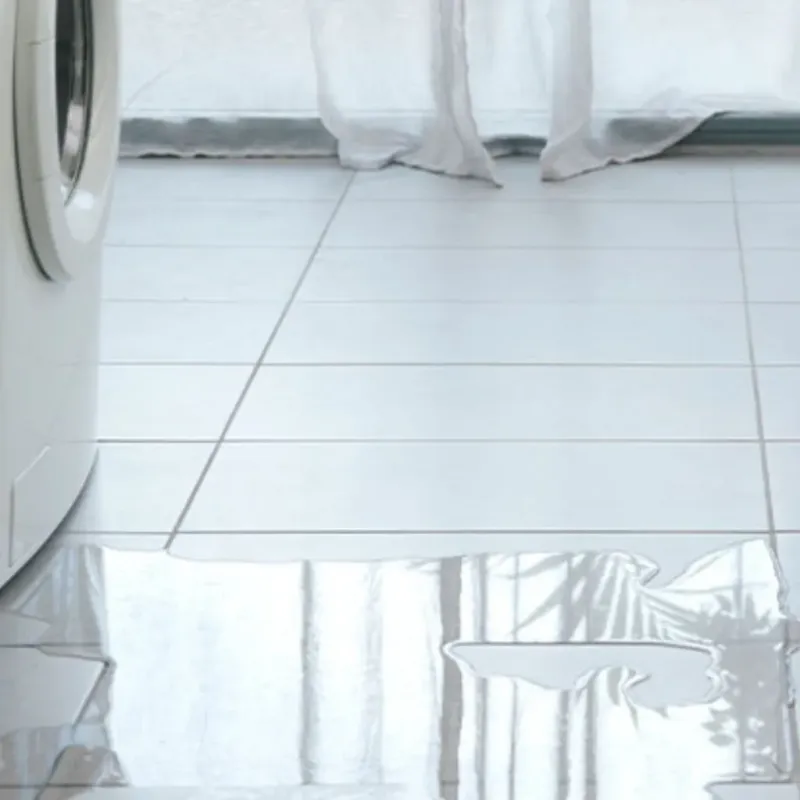 Appliance Leak Cleanup in Delaware County, IA