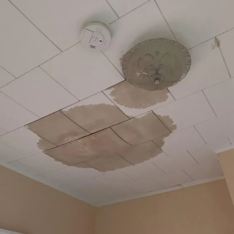 Ceiling Water Damage Repair in Delaware County, IA