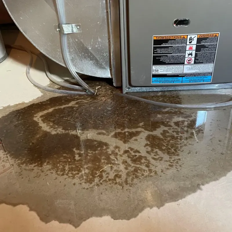 Pipe Burst and Leak Restoration in Delaware County, IA
